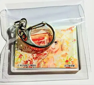 치하야후루 오미 강학관 오미 신궁 아야세 치하야 키링