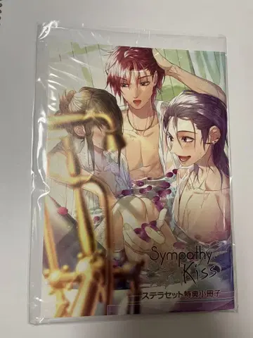 Switch SympathyKiss 스텔라 특전 소책자