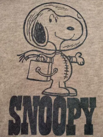 '90s Hanes 후디 USA