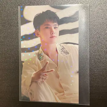 SEVENTEEN 세븐틴 DREAM HMV 럭키 드로우 호시 포토카드