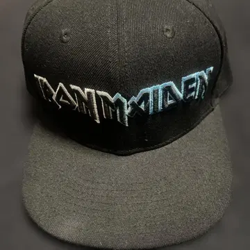 IRON MAIDEN Japan tour 2024 캡