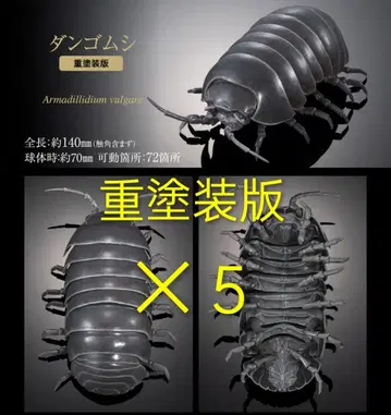 공벌레 온라인판 중채색 생물대도감