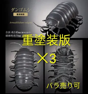 공벌레 온라인판 중채색 생물대도감