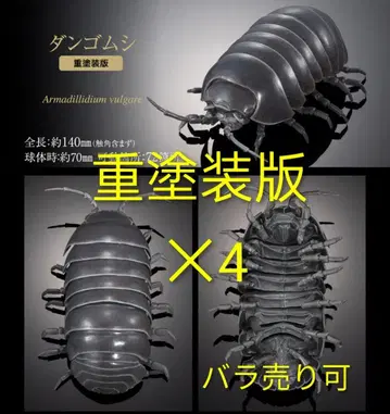 공벌레 온라인판 중채색 생물대도감