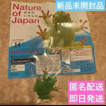 네이처 테크니컬러 일본의 생물 02 일본청개구리 미개봉 새상품