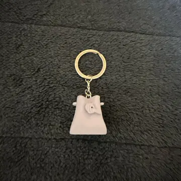 vasic 10주년 기념 한정판 참 bond형 키링