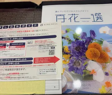 카탈로그 기프트 백화일선