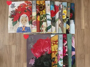 화도 이케노보 2024.2025년