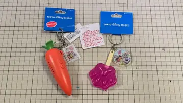 디즈니 리조트 주토피아 당근펜과 아이스캔디 키체인