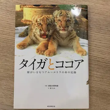 타이가와 코코아 장애를 가진 아무르 호랑이의 생명 기록