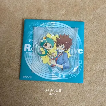 가정교사 히트맨 REBORN! 아크릴 배지 츠나&리본