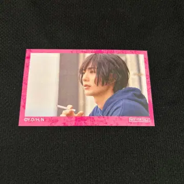 후지바야시 타이야 폴라로이드풍 카드 펑크 스트라이앵글 판트라 특전