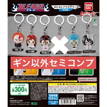 BLEACH 메지루시 액세서리 2 ~아란칼 편~ 세미 컴프