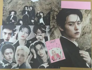 straykids 스키즈 DOIT ITver 리노 포토보드