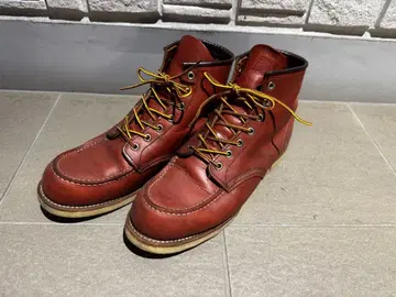 RED WING 아이리쉬 세터 8875