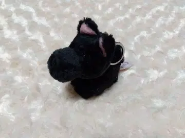 NICI 스코티시 테리어