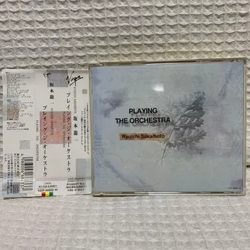 플레이잉 더 오케스트라