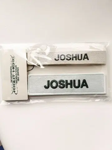 SEVENTEEN RIGHT HERE 조슈아 와펜