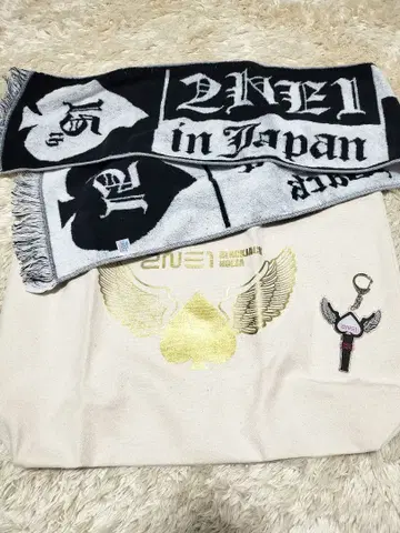 2NE1 타월, 토트백, 키링 세트