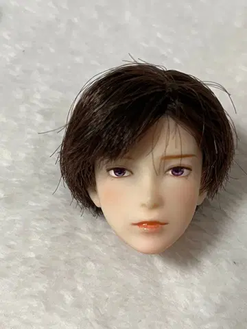 6분의1 남자 도감 에이트 커스텀 헤드 브라운 헤드만