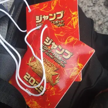 점프 빅토리 카니발 여권