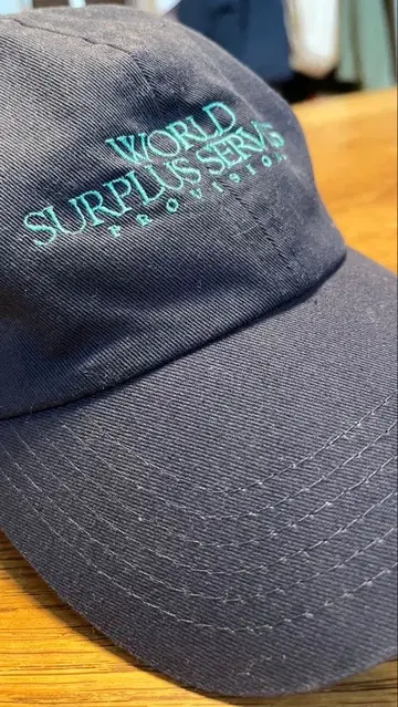 THE SHINZONE 신존 'world surplus' 캡