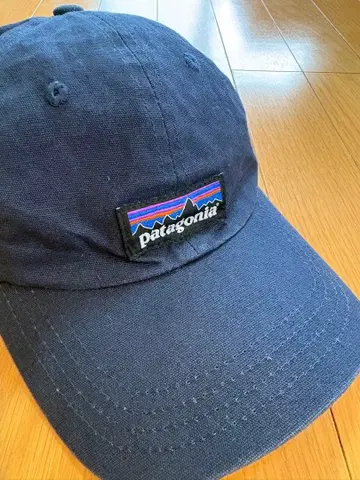 patagonia 네이비 로고 캡