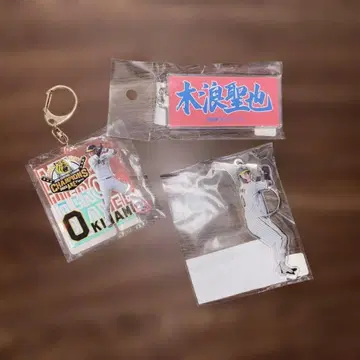 한신 타이거즈 키나미 세이야 아크릴 키링