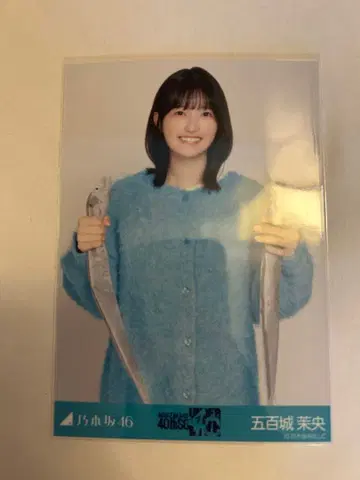 노기자카46 언더 라이브 T셔츠 니트 롱 데님 스커트 이오키 마오 츄