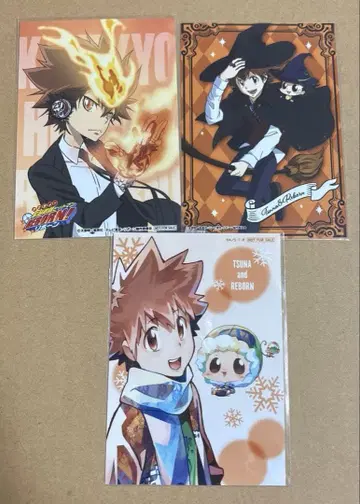 가정교사 히트맨 REBORN 리본 사와다 츠나요시 엽서 브로마이드