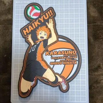 하이큐!! 히나타 쇼요 리얼 러버 플레이트 빅 러버