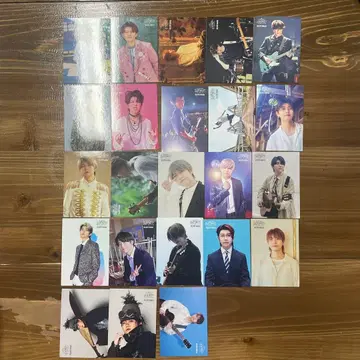 미세스 와카이 씨 포토 카드 바벨 FJORD 23장