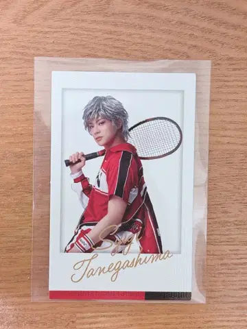 신 테니뮤 타네가시마 슈지 아키자와 켄타로 폴라쇼