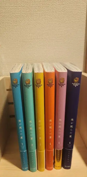 빛이 죽은 여름