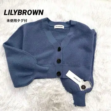 릴리 브라운 라메 벌룬 슬리브 니트 가디건 택 포함