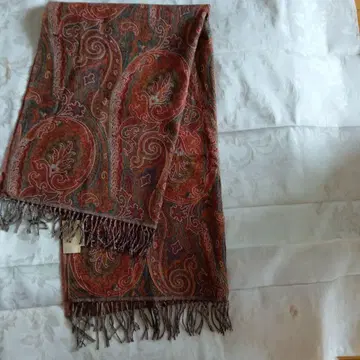 ETRO 페이즐리 무늬 숄 대형