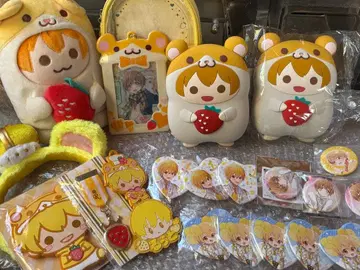 스토푸리 루토 묶음 판매