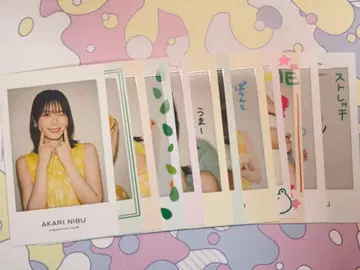 니부 아카리 폴라로이드풍 카드 컴플리트 세트