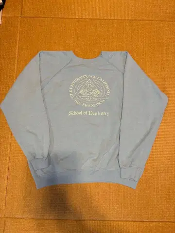 헤인즈 90s 래글런 맨투맨