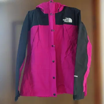 THE NORTH FACE 고어텍스 마운틴 후드티 L 사이즈