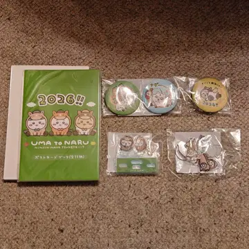 치이카와 해피백 2026