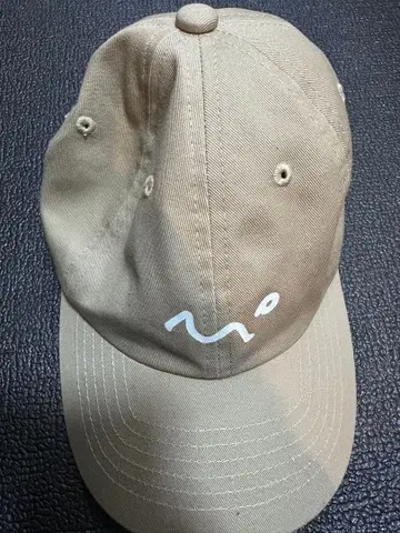 나카가와 루나 생일 캡