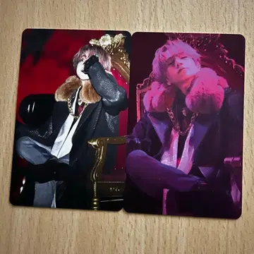 우라타누키 포토 카드 Alpha