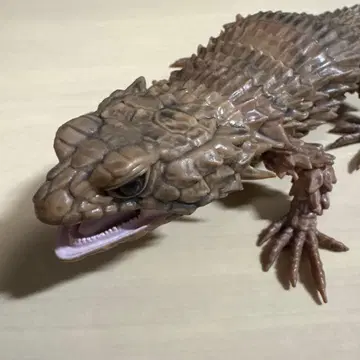 아르마딜로 도마뱀 (먹선 ver.) 레어