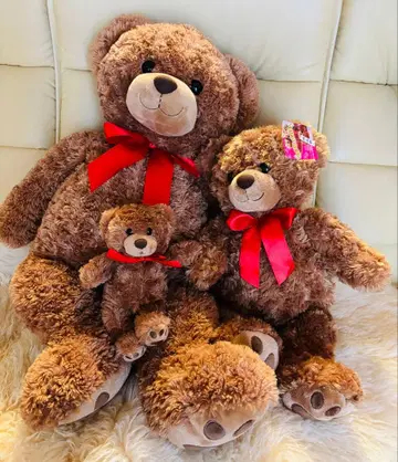 곰 봉제 인형 3체 세트