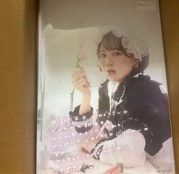 muvus 마츠모토 카렌 생탄 포스터 비주얼 1