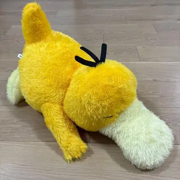 포켓몬스터 메챠모후굿토 쿠츠로기타임 봉제 인형 코닥