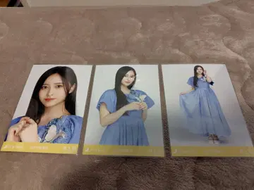 이노우에 카즈미 교감신경 우위 브로마이드 컴프