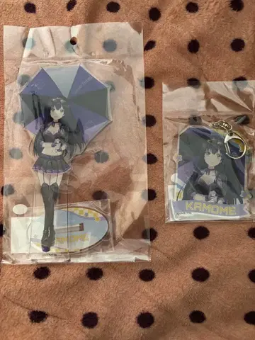 쿠지마 카모메 아크릴 스탠드 키링 세트