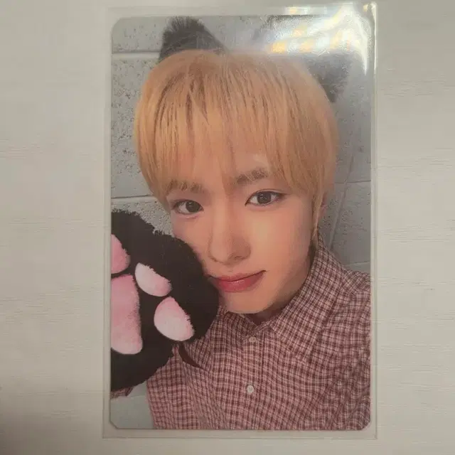 사쿠야 인터아시아 럭드(포카+앨범)